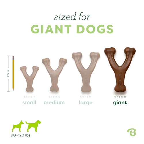 Image of Benebone Wishbone Durable Dog Chew Toy for Aggressive Chewers, Real Peanut, Made in USA, Giant