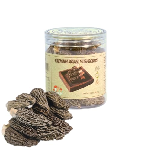 How to cook and clean morel mushrooms Metro Cooking Dallas