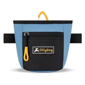 OllyDog Goodie Treat Bag, Dog Treat Pouch, Waist Belt Clip for Hands-Free Training, Magnetic Closure, Dog Training and Behavior Aids, Three Ways to Wear (Pacific Coast)