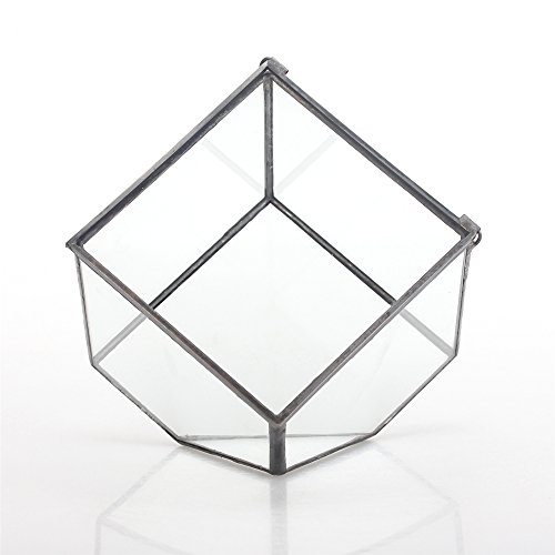 5.9Inches Squares Inclined Cube Clear Glass Geometric Terrarium Box With Swing Lid Succulent Plant Fern Moss, No Plants Included #TOP3