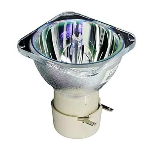Vidéoprojecteur Dell 1210S lampe rechange 317-2531 725-10193 pièce