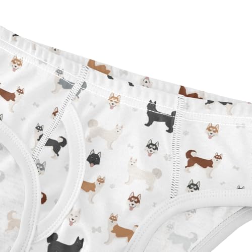Boys' Exclusive Briefs Toddler Underwear 95% Combed Cotton Boxerbriefs 2T Dog Breed Pattern 914