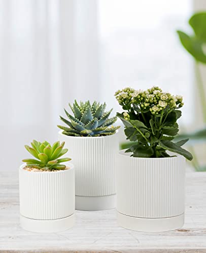 Ladovita 3 Pack Ceramic Plant Pots 6/5/4 Inch, Flowerpot For Indoor Plants With Drainage Holes And Tray, Outdoor Garden Planters, Modern Decorative For Home, White Vertical Stripes #TOP6