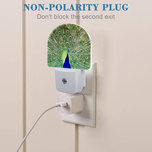 Image of Peacock Night Light with Dusk to Dawn Sensor for Room Decor, Hallway, Kitchen, Bathroom, Nursery, Stairs