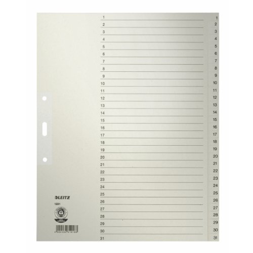 10 x Leitz Register A4 1-31 100g/qm grau