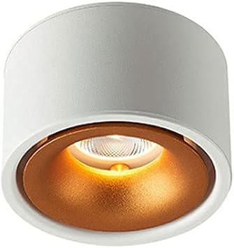 Surface Mount Spotlight with Spotlight, Indoor Cob Ceiling Downlight, Gallery Kitchen Hallway Living Room Aluminum Directional Spotlight, Picture Light Mini Accent Spotlight/White-3000K