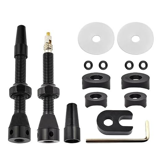 Válvulas de neumáticos, núcleos y Cartuchos de válvulas, Cartuchos extraíbles, válvulas de neumáticos Selladas, Protectores de neumáticos, Accesorios para Bicicletas(Negro)