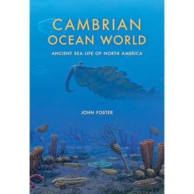 Cambrian Ocean World