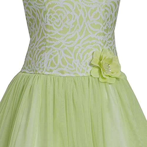 Bonnie Jean Girls Easter Jacquard Floral Princess Fit and Flare Party Dress 4-163