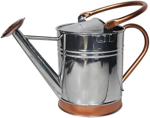 Gardens & Home 1 Gallon Silver Metal Watering Can, Long Spout for No Spillage, Perfect Plant Watering Can for Indoor and Outdoor Plants, Copper Band/Nozzle
