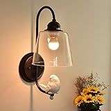 NIUYAO Industrial White Resin Bird and Hand-Blown Clear Glass Shaded Wall Sconce, Retro Style Antique Wall Lamp Lighting Fixture (Black) 455899