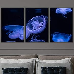 signwin 3 Piece Framed Canvas Wall Art Colorful...