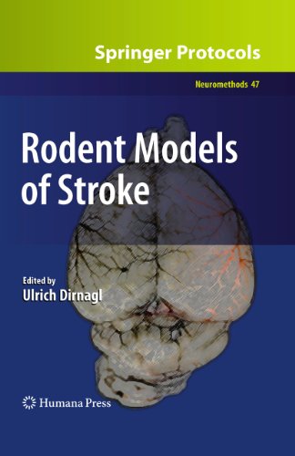 Rodent Models of Stroke (Neuromethods, 47)