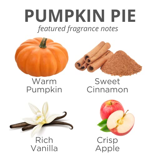 Stillwater Bath And Body™ Pumpkin Pie Spice Scented Candle For Home | Non Toxic Long Lasting Soy Candles | Delicious Scent | One Pint Mason Jar | Hand Made In The Usa #TOP1