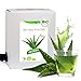 3 Liter Bio Aloe Vera Saft - 3 Monate Bio Aloe Vera Saftkur -...