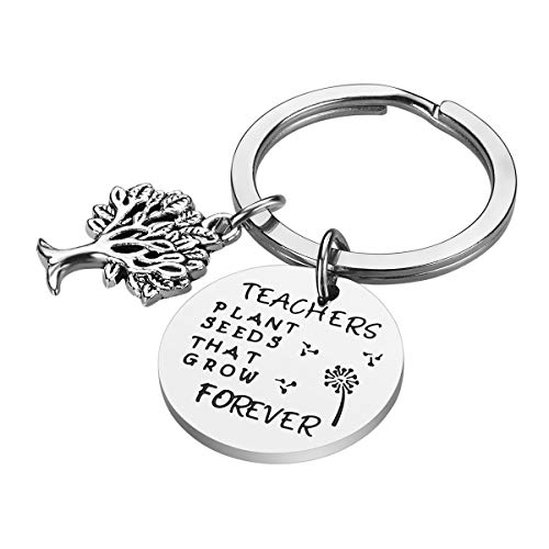 iJuqi Teacher Appreciation Gifts for Women - Teachers Plant Seeds That Grow Forever Keychain for Christmas Birthday - Image 3