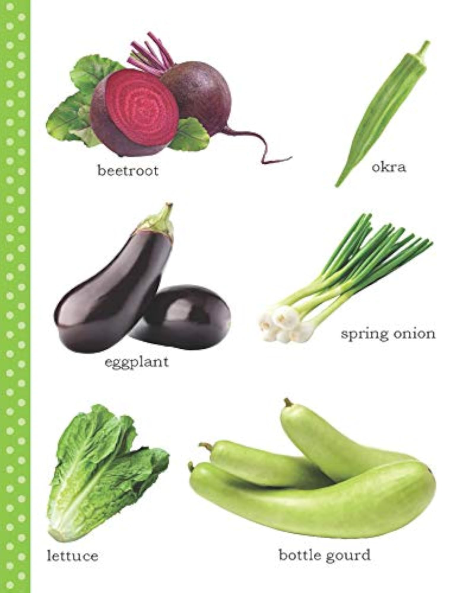 My First Picture Book of Vegetables