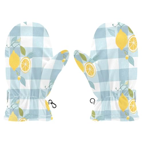 Kid's Winter Gloves Children Warm Gloves Lemon Blue and White Plaid for Boys Girl Age 4-6 Years