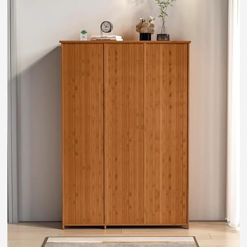 Zapatero de 4 niveles y puertas de madera para sala de estar 5