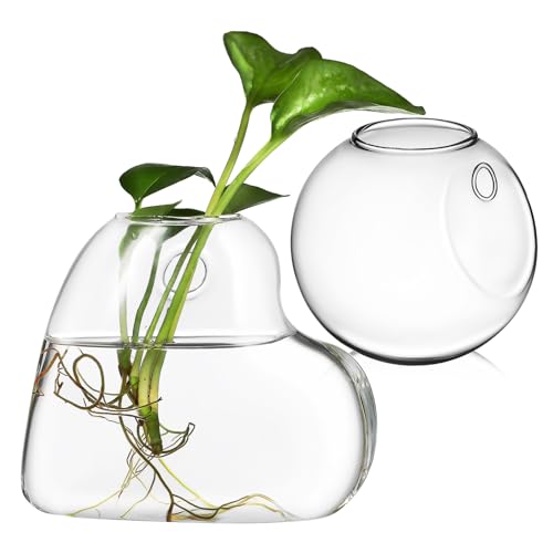 PRETYZOOM Maceta Colgante De Vidrio para Pared Terrario 10 Cm Macetero Transparente De Borosilicato Accesorios para Plantas Hidropónicas Decoración Interior Funcional
