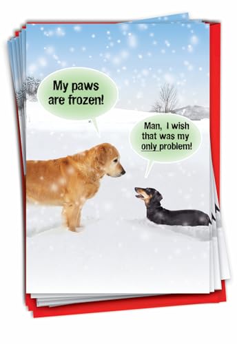 NobleWorks Pack of 12 Funny Christmas Greeting Cards with Envelopes, Humor Holiday for Men and Women (1 Design, 12 Cards) - My Paws Are Frozen B5953