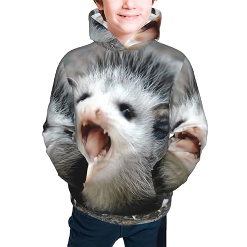 Possum Hissing Boy, Girls Sports Shirt Youth Pullover Fashion Hooded Sweatshirt