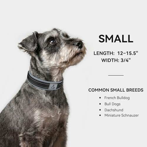Image of Joytale Dog Collar for Small Dogs, Neoprene Padded and Adjustable, Reflective Wide Heavy Duty Pet Collars with Durable Metal Belt Buckle for Walking, Black, S
