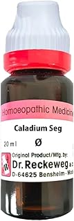 Dr. Reckeweg Caladium Seg Mother Tincture Q 20ml Pack of 5 Piece