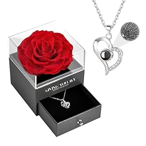 KIBNA Valentine’s Day Gifts for Her – Preserved Real Rose with Necklace – Forever Flowers Rose Flower Gifts for Mom…