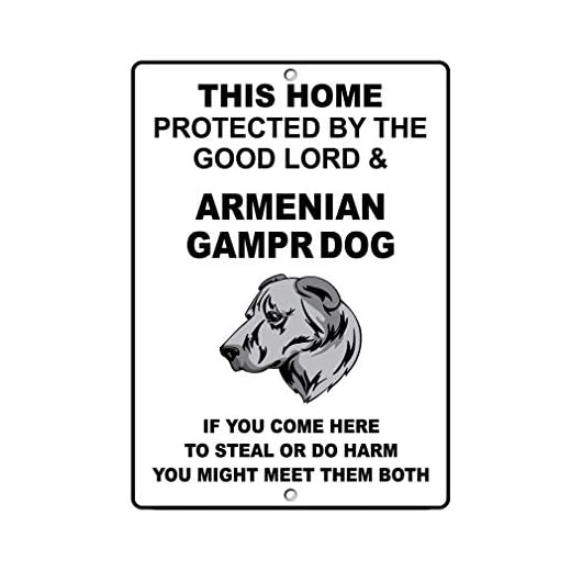 Aluminum Metal Sign Funny Armenian Gampr Dog Dog Home Protected by Good Lord and Informative Novelty Wall Art Vertical 8Inx12In