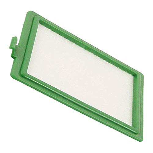 Filtro de escape, microfiltro adecuado para aspiradoras AEG Electrolux, Philips, Tornado, S Bag – sustituye a AEF08, EF 17, EF17 – Filtro de salida, filtro de marco