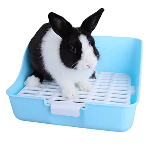 20 Best Rabbit Litter Box (Reviews & Guide) in 2020