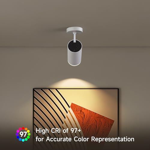 Image of 9W LED Dimmable Ceiling Spotlight Indoor - Adjustable Surface Mount Accent Fixture for Corridor, Living Room, Plants & Artwork | Warm White 3000K CRI 97 Directional Spot Light, White Finish