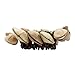 Seed Maraca Rattle Bracelet African Tribal Style Bracelet Percussion Shaker Djembe Accessory - JIVE BRAND