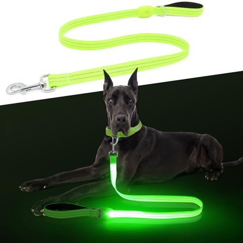 LED Light Up Dog Leash
