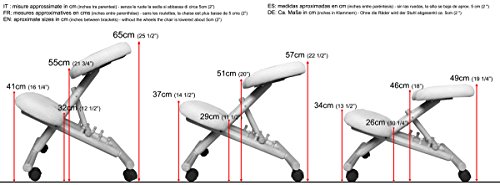 Cinius Ergonomic Kneeling Chair, Improve Your Posture with Angled seat, Non-deformable Cushions, rubberwood Frame