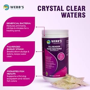 All-Season Beneficial Pond Bacteria with Barley Packets - Bacteria for Ponds Ideal for Clearing Any Fish and Duck Pond Applications - 24 Packet Container- Webb's Water Gardens All Season Beneficial Pond Bacteria with Barley Packets Bacteria for Ponds Ideal for Clearing Any Fish and Duck Pond Applications 24 Packet Container Webbs Water Gardens