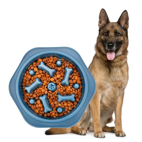 Image of Durable Slow Feeder Bowl for Dog| Anti-Choke Non-Slip Pet Feeding Base and Easy to Clean| Dish Promotes Healthy Eating| Reduces Bloating and Digestive Issues|Interactive Maze Design (Blue)