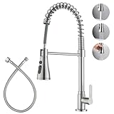 LIWEIKE Brushed Nickel Cold Water Faucet with Pull Dowm Sprayer Single Hole for Outdoor Sink Faucet Cold Water Only, Deck Mount