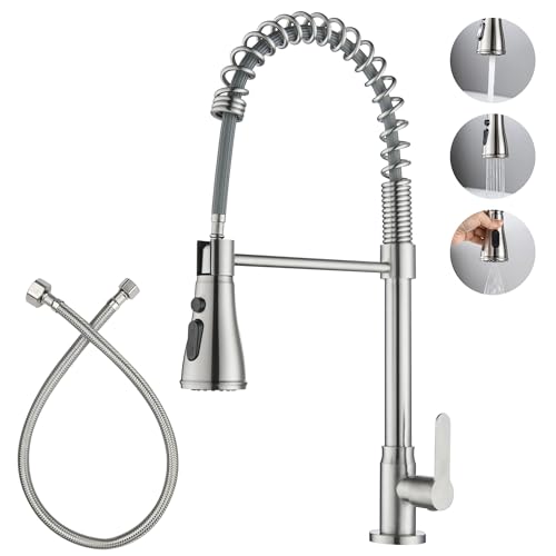 LIWEIKE Brushed Nickel Cold Water Faucet with Pull Dowm Sprayer