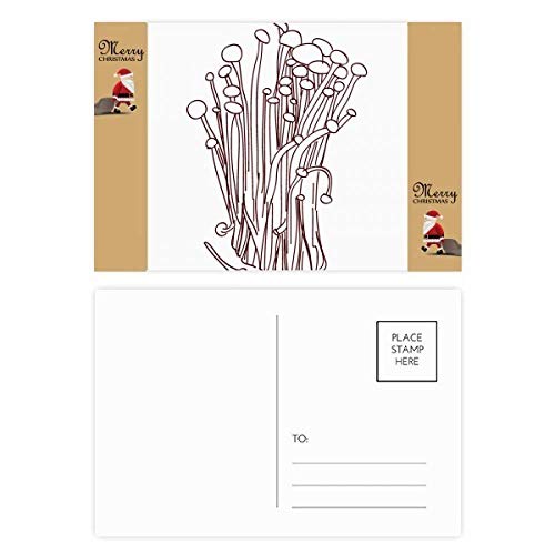 Cartes postales remerciement champignon de velutipes lot 20 correspondance nature