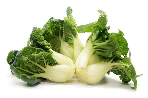 1000 Extra Dwarf Bok Choy/Pak Choi Seeds for Planting Heirloom Non-GMO USA Grown Premium Waterproof Protective Packaging - Grows 4 Tall by RDR Seeds