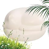 Urne,Großvolumiger Aufbewahrungsbehälter Für Erinnerungen,Hunde Katzen Asche Urne - Für Schreibtisch Nachttisch Schlafzimmer Wohnung Aufbewahrung