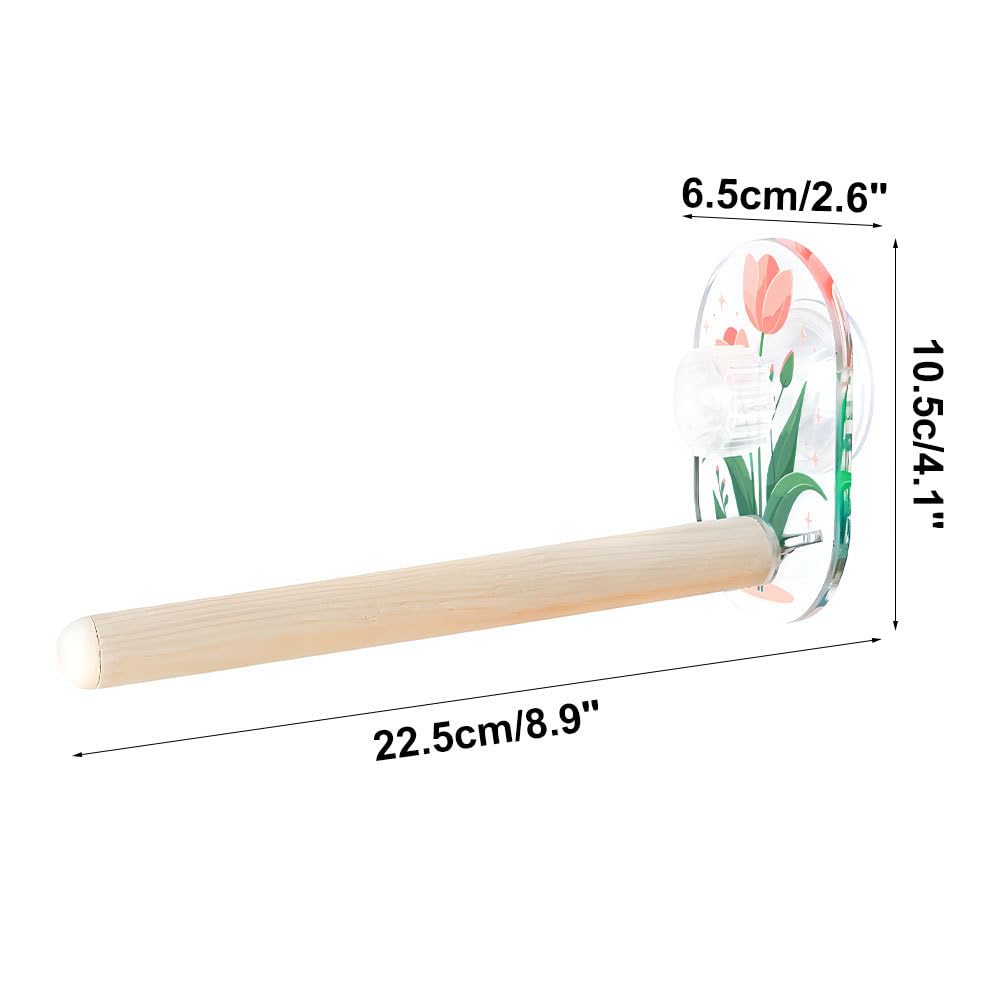 Bird Swing Toys,Suction Cup Bird Wooden Perches for Parakeet Cockatiel, Conure, Budgerigar, Lovebird and Other Birds - Image 4