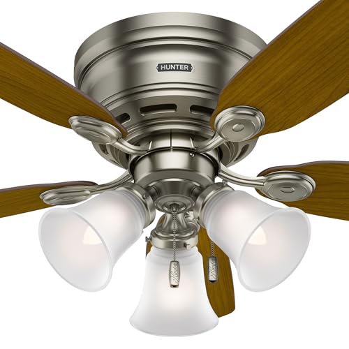 Image of Hunter Low Profile IV, Indoor, Ceiling Fan, 42 inch, Antique Pewter