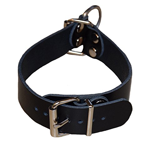 Terginum Halsband Würgehalsband Dressurhalsband mit D-Ring Sklavenhalsband Lederhalsband BDSM Sexspiel (38-45 cm)