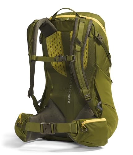 The North Face Terra 40, Forest Olive/New Taupe Green-NPF, Small/Medium3