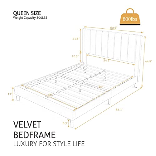 image for SHA CERLIN Queen Bed Frame/Velvet Upholstered Platform Bed Frame with 