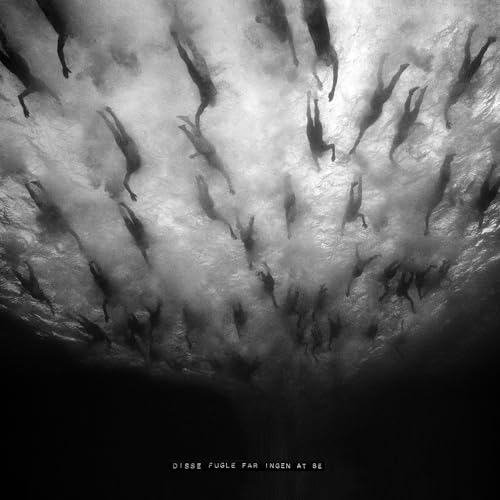 Disse Fugle Får Ingen At Se [Vinilo]