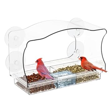 clear plastic bird feeders with suction cups